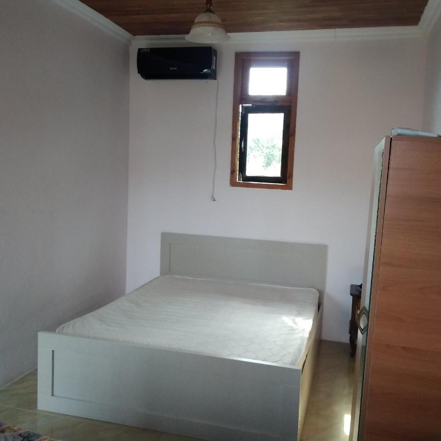 Hotel Poseidon Shekhvetili Buitenkant foto